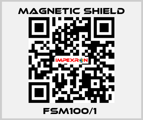 FSM100/1  Magnetic Shield