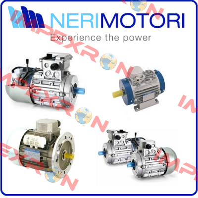 IN80B4-B5-0,75kW-1500 Neri Motori