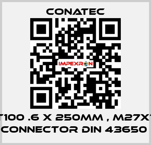 PT100 .6 x 250mm , M27X1,5 Connector DIN 43650  Conatec