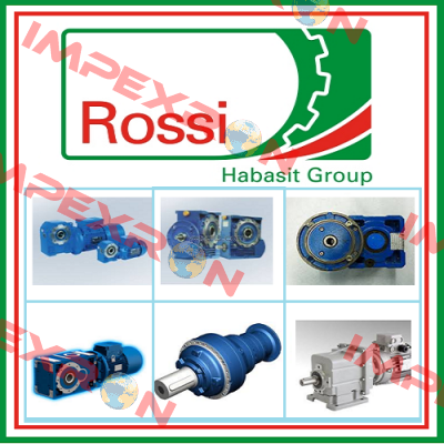 AS 30X55X7 DIN 3760 Rossi