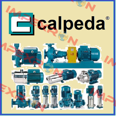 NM 3/S NO:73091 PUMP+MOTOR  Calpeda