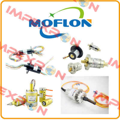 MMC181 (N1938) Moflon