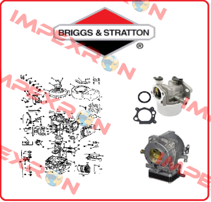 806009-BRI Briggs-Stratton