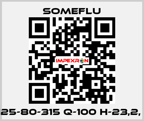 NP-S 125-80-315 Q-100 H-23,2, Ф-280 SOMEFLU