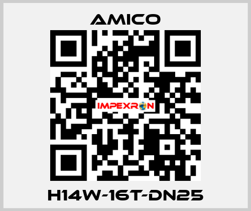 H14W-16T-DN25 AMICO