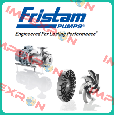 FZX22001308126 Fristam