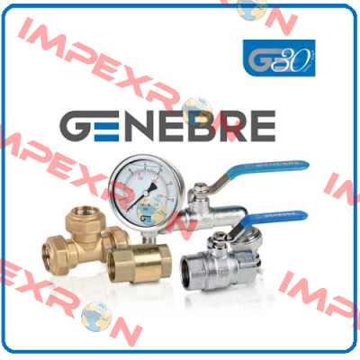 4828 A24V Genebre