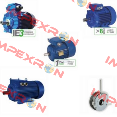 Elektrim DS-Motor, 2SIEK-63-2B1 Cantoni