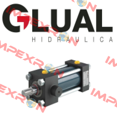 KI-80/56X125-H303-1-AD-A-1-M-30 Glual Hydraulics